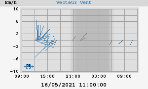 Wind Vector