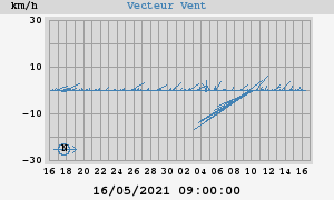 Wind Vector