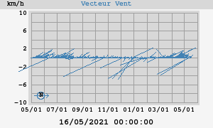 Wind Vector